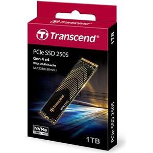 Transcend SSD MTE250S NVMe 1TB, inkl. KĂĽhlkörper