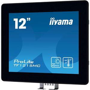 IIYAMA 31.0cm (12,1