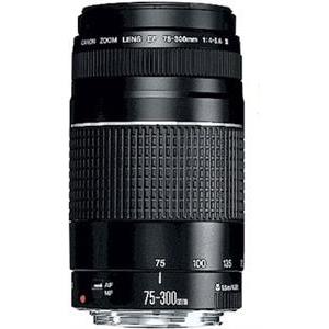 Canon EF 75-300mm f/4-5.6 III