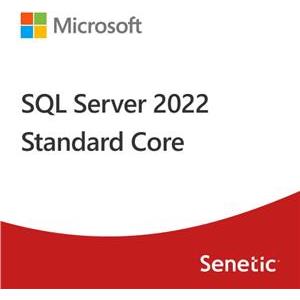 SQL Server 2022 Standard Core - 2 Core License Pack- Commercial, DG7GMGF0M7XW:0002