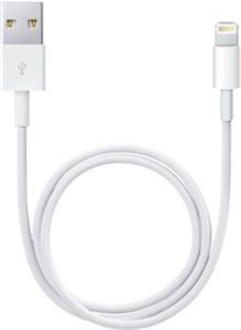 Adapter APPLE Lightning na USB konektor (2m), md819zm/a