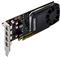 NVIDIA Quadro P1000 - graphics card - Quadro P1000 - 4 GB