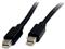 StarTech.com 2m Mini DisplayPort 1.2 Cable M/M Mini DisplayPort 4k - DisplayPort cable - 2 m