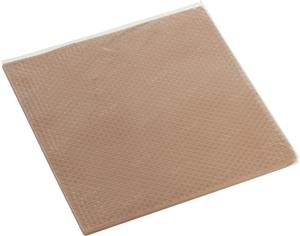 Thermal Grizzly Minus Pad 8 - 100 × 100 × 2,0 mm