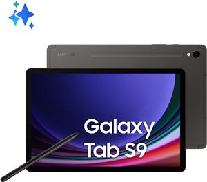 Samsung Galaxy Tab S9 11.0 5G 256GB siva (X716)