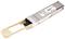 LANCOM SFP-SR-MPO40 40GBASE-SR/SW-QSFP-Modul (max. 300m)