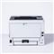 Brother HL-L5210DWT - printer - B/W - laser