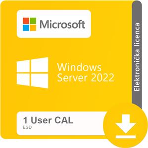 Windows Server 2022 1 User CAL ESD elektronička licenca