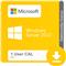 Windows Server 2022 1 User CAL ESD elektronička licenca