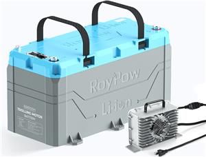 RoyPow LiFePo4, Punjač baterija RP4222-LFP- 36V, snaga 22A, Ip65, težina 4 kg