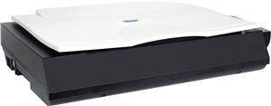 Avision Flachbettscanner für Bücher FB6380E A3