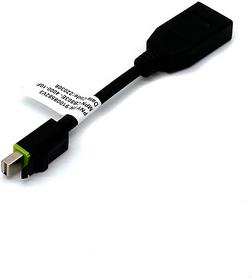 Adapter Mini DisplayPort to DisplayPort, Latching, 0.1m, PNY