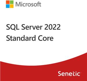 SQL Server 2022 Standard Core - 2 Core License Pack- Commercial, DG7GMGF0M7XW:0002