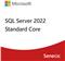 SQL Server 2022 Standard Core - 2 Core License Pack- Commercial, DG7GMGF0M7XW:0002