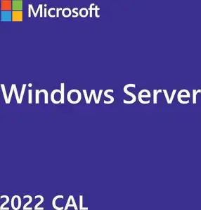 Microsoft Windows Server 2022 - OEM- 1 User CAL